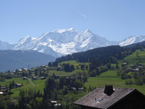 Charmant 2 pièces au centre de Combloux avec vue Mont Blanc - FR-1-560-9